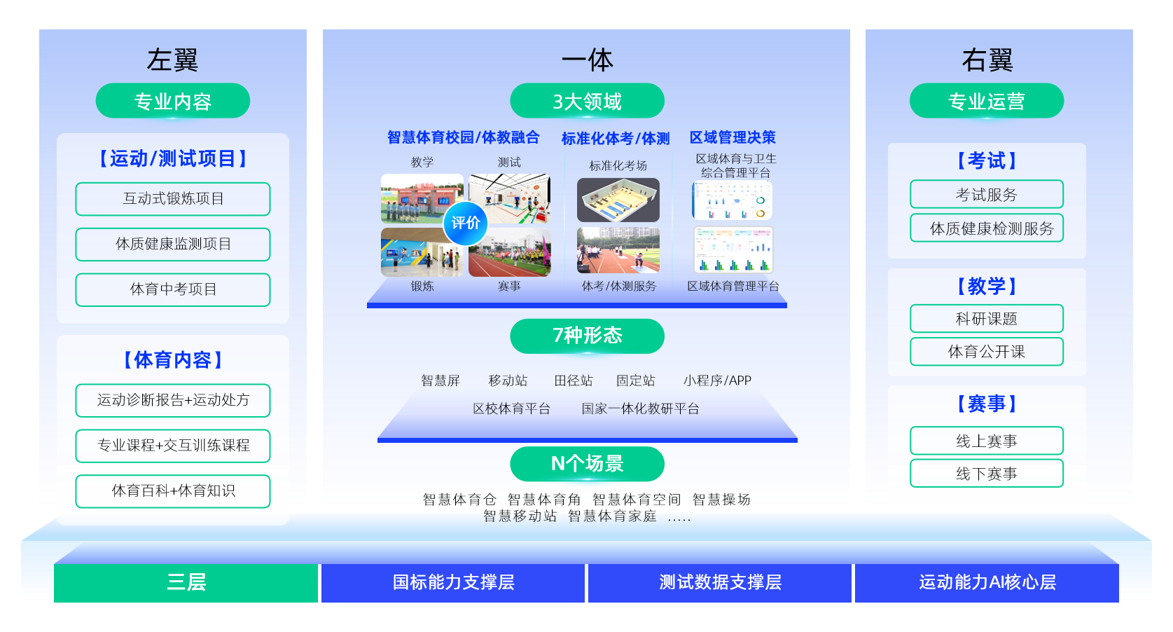 开云体育教育体育架构图.png