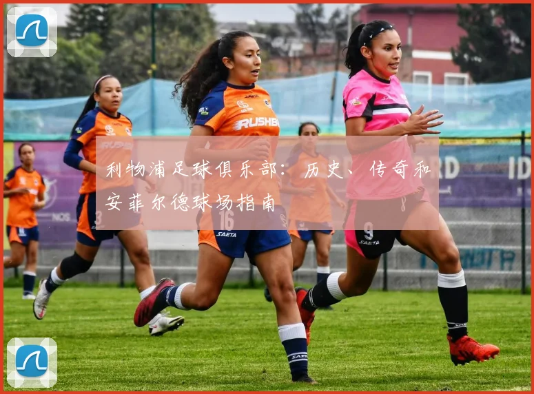 利物浦足球俱乐部:历史、传奇和安菲尔德球场指南