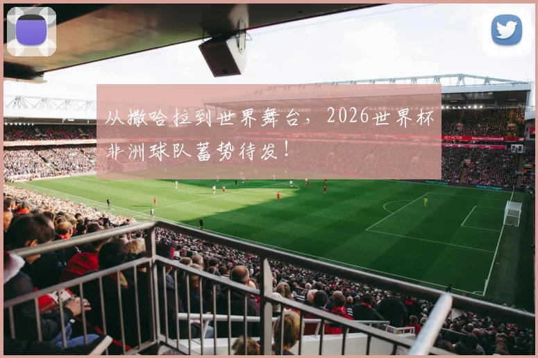 从撒哈拉到世界舞台，2026世界杯非洲球队蓄势待发！